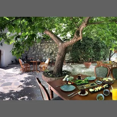 Anfora Ve Sarap Evi Hotel Altınoluk