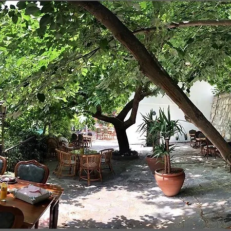 Anfora Ve Sarap Evi Hotel Altınoluk