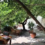 Anfora Ve Sarap Evi 酒店 Altınoluk