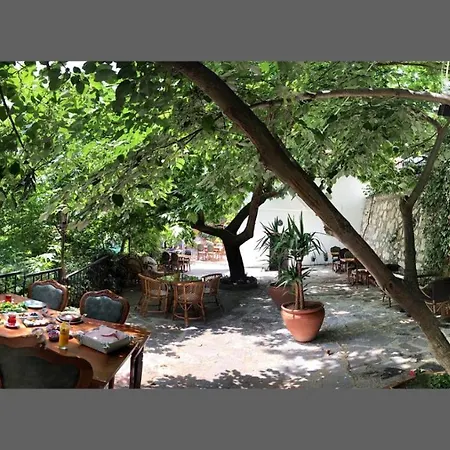 Anfora Ve Sarap Evi 4* Altınoluk