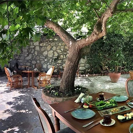 호텔 Anfora Ve Sarap Evi 4*