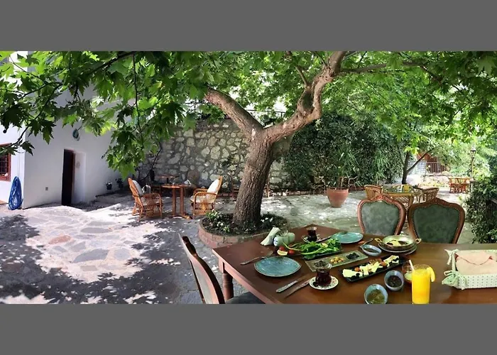 Anfora Ve Sarap Evi Szálloda Altınoluk