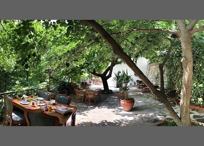 Anfora Ve Sarap Evi 4* Altınoluk